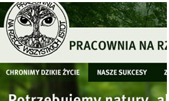 strony internetowe ibisal.com