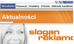 strony internetowe ibisal.com