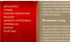 strony internetowe ibisal.com